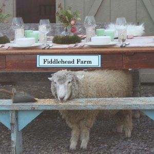 Meet your Posher, Maryellen